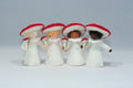 Red Mushroom Fly Agaric Fairy - Flower Hat Fairy - Ambrosius